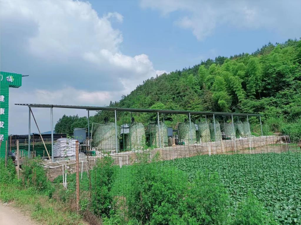 牛蛙養殖汙水處理除（chú）磷加藥